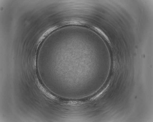 X0000085260938200703161400