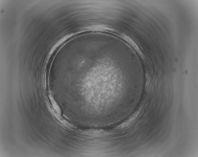 X0000085260939200703161400