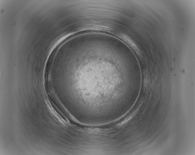 X0000085260940200703161400