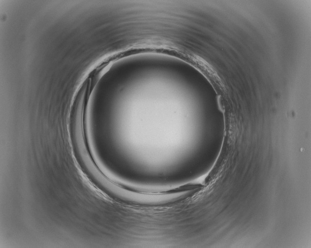 X0000085260942200703161400