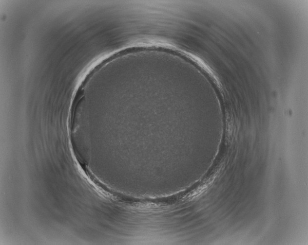 X0000085260943200703161400