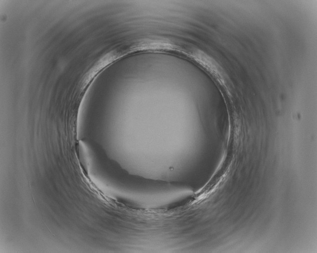 X0000085260945200703161400