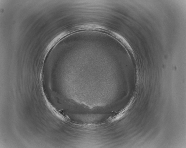 X0000085260946200703161400