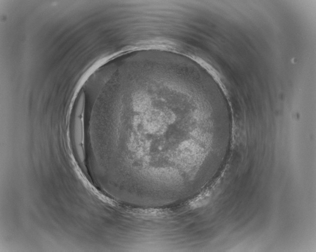 X0000085260949200703161400