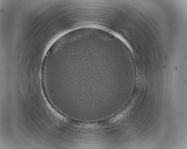 X0000085260951200703161400