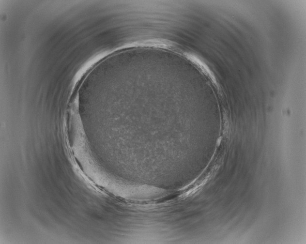 X0000085260952200703161400