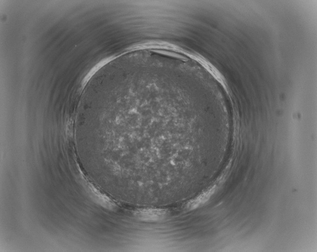 X0000085260953200703161400