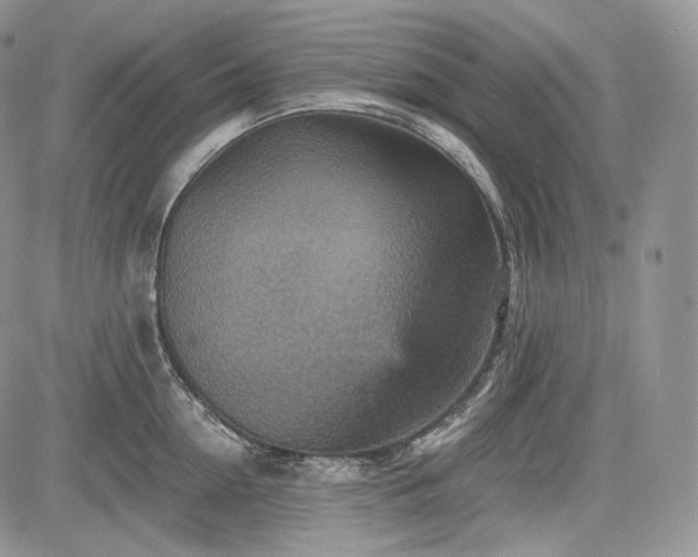 X0000085260954200703161400