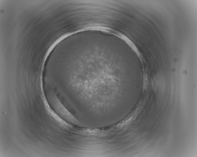 X0000085260955200703161400