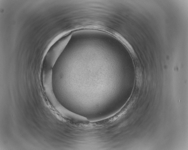 X0000085260956200703161400