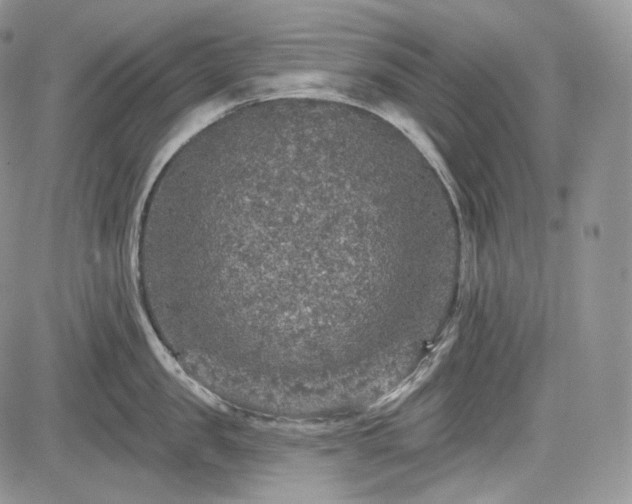 X0000085260957200703161400