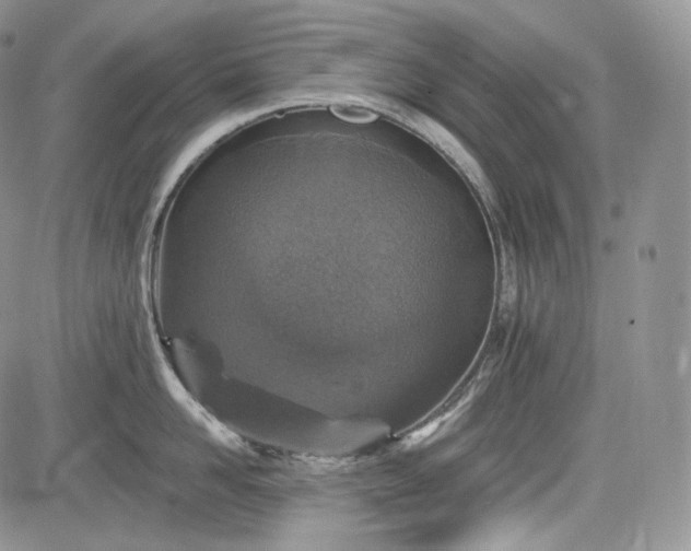 X0000085260958200703161400