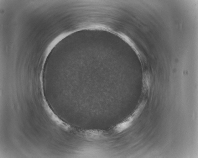 X0000085260959200703161400