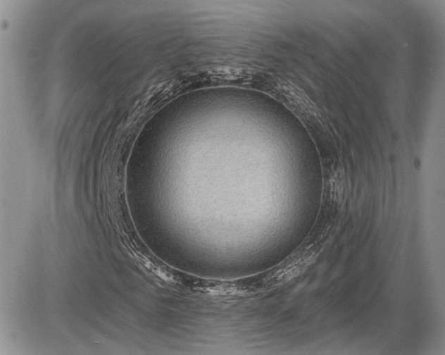 X0000085260961200703161400