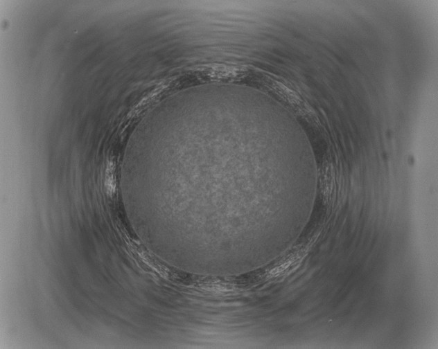 X0000085260962200703161359