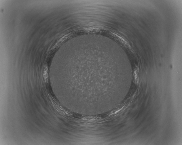 X0000085260963200703161359