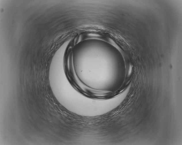 X0000085260965200703161359