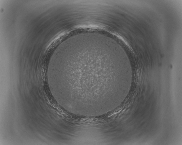 X0000085260967200703161359