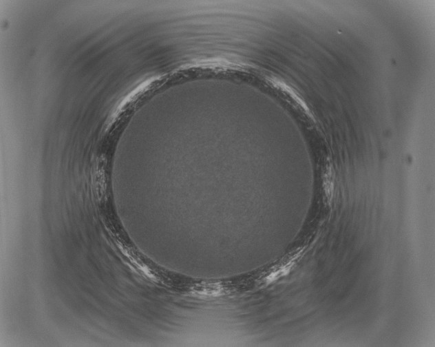 X0000085260968200703161359