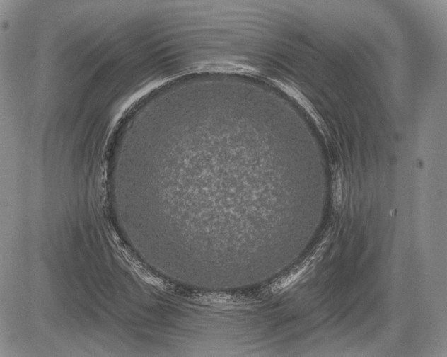 X0000085260971200703161359