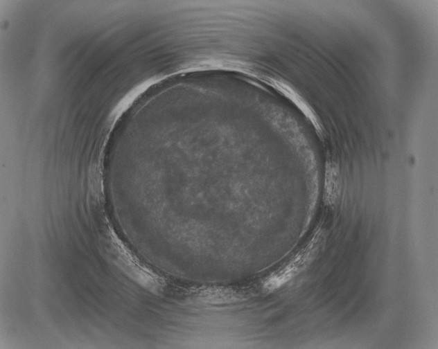 X0000085260972200703161359