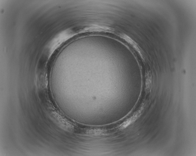 X0000085260973200703161359