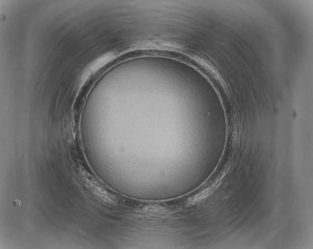 X0000085260974200703161359