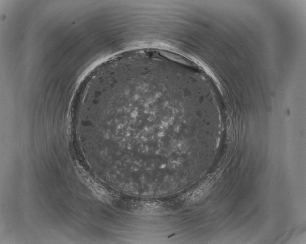 X0000085260975200703161359