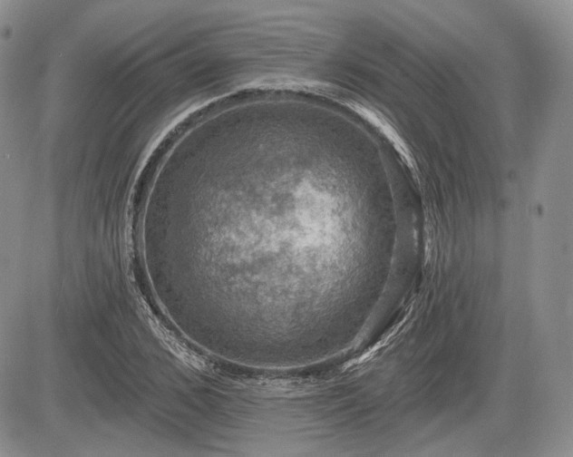 X0000085260976200703161359