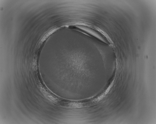 X0000085260977200703161359