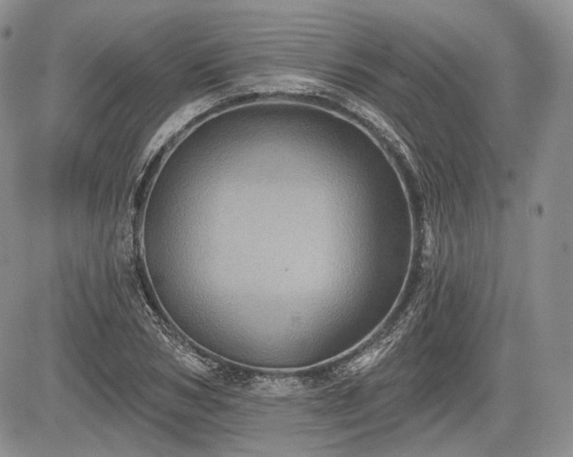 X0000085260978200703161359