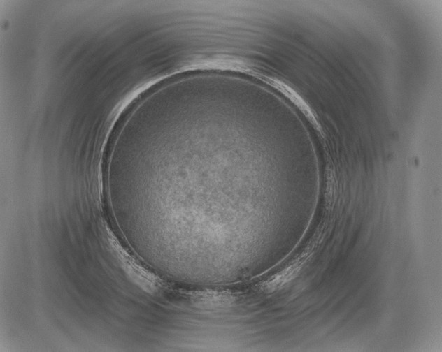 X0000085260980200703161359