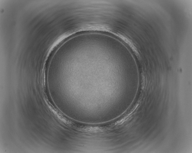 X0000085260982200703161359