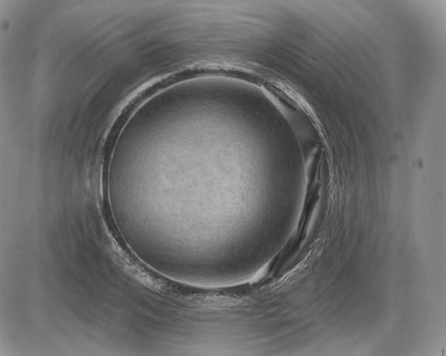 X0000085260984200703161359