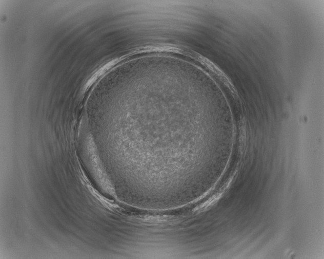 X0000085260985200703161359