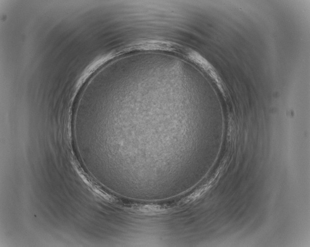 X0000085260986200703161359