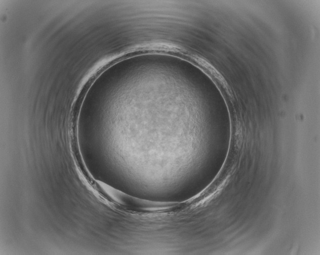 X0000085260989200703161359