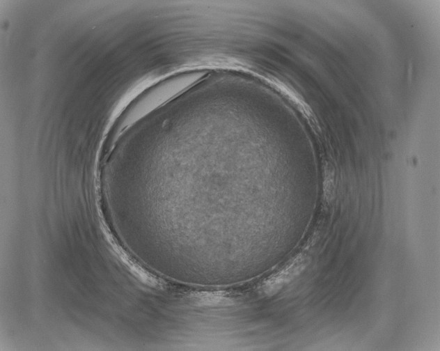 X0000085260990200703161359