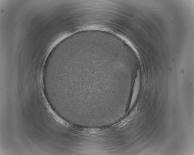 X0000085260991200703161359