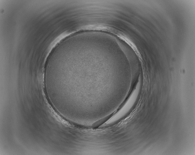 X0000085260992200703161359