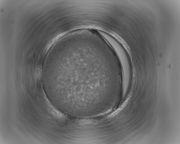 X0000085260993200703161359