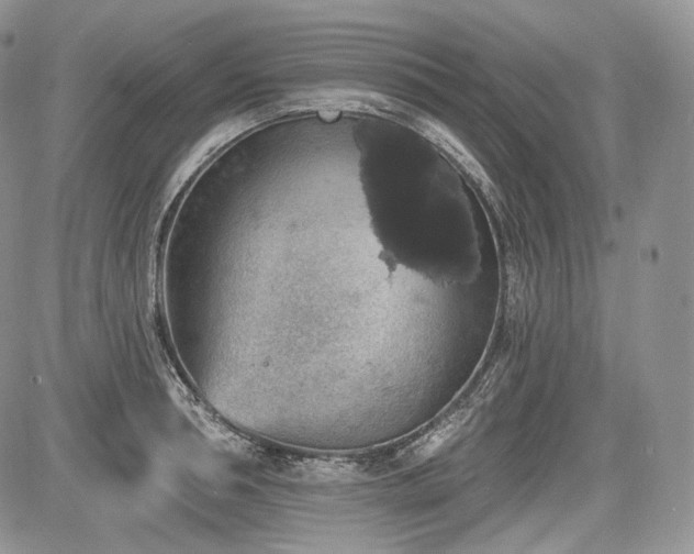 X0000085260994200703161359