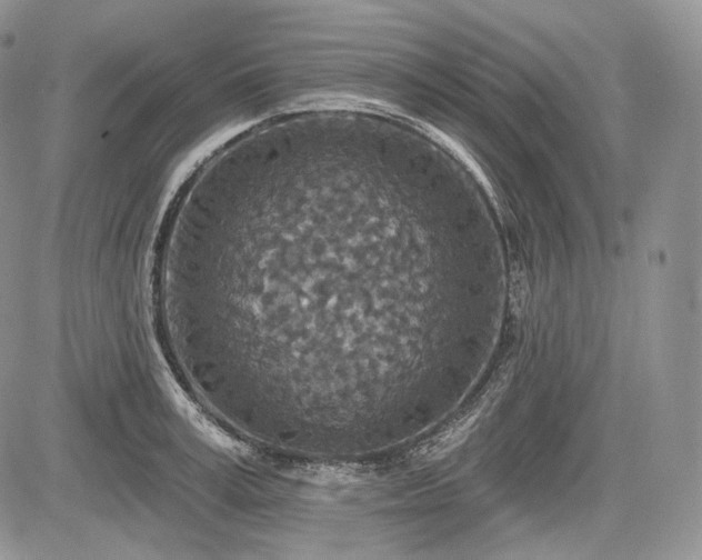 X0000085260995200703161359