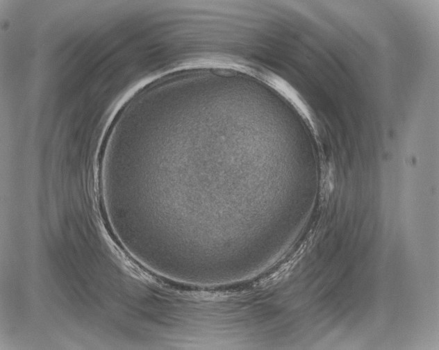 X0000085260996200703161359