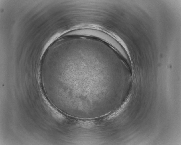 X0000085260997200703161359