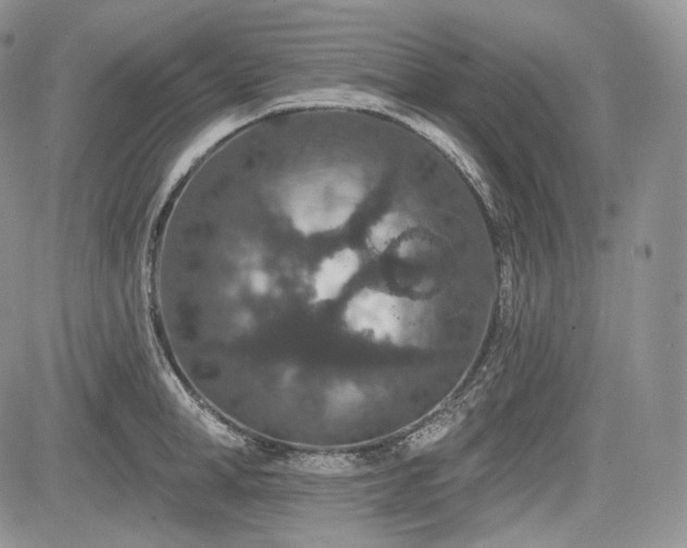 X0000085260998200703161359