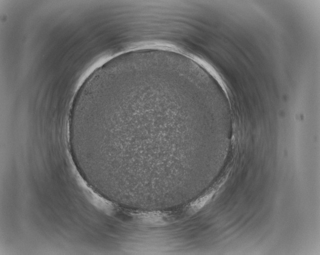 X0000085260999200703161359