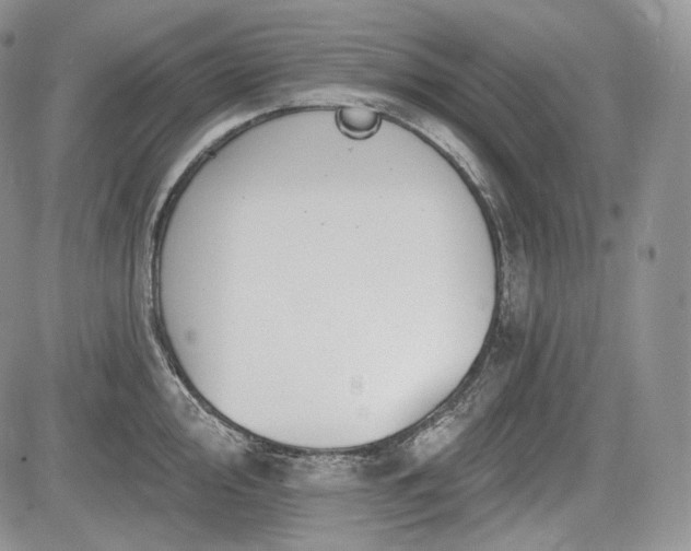 X0000085261000200703161359