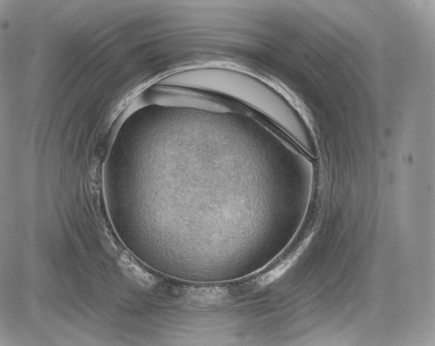 X0000085261001200703161359