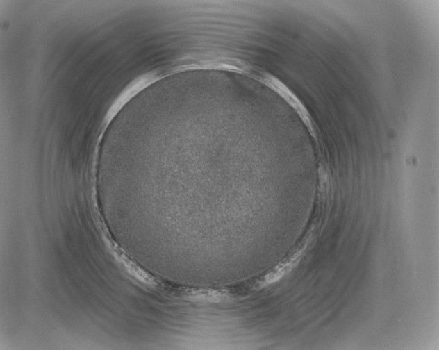 X0000085261002200703161359